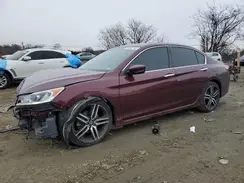 1HGCR2F59HA155901 2017 HONDA ACCORD