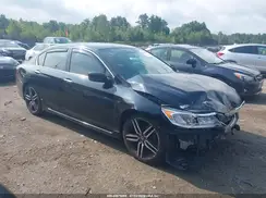 1HGCR2F59HA258316 2017 HONDA ACCORD