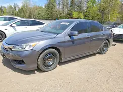 1HGCR2F60HA810181 2017 HONDA ACCORD
