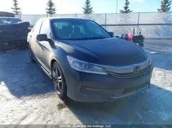 1HGCR2F61GA808387 2016 HONDA ACCORD