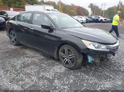 1HGCR2F61HA240563 2017 HONDA ACCORD