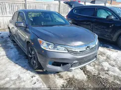 1HGCR2F61HA802204 2017 HONDA ACCORD