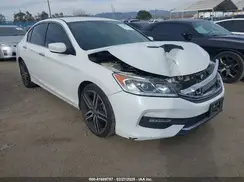 1HGCR2F63HA117282 2017 HONDA ACCORD