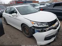 1HGCR2F64HA810667 2017 HONDA ACCORD