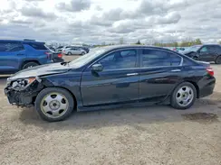 1HGCR2F65HA810029 2017 HONDA ACCORD