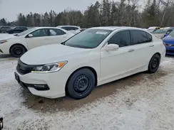 1HGCR2F65HA810645 2017 HONDA ACCORD