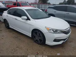 1HGCR2F66HA071981 2017 HONDA ACCORD