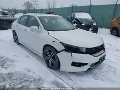 1HGCR2F66HA800173 2017 HONDA ACCORD