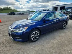 1HGCR2F70HA013406 2017 HONDA ACCORD