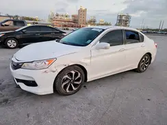 1HGCR2F70HA239509 2017 HONDA ACCORD