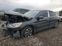1HGCR2F71GA003031 2016 HONDA ACCORD