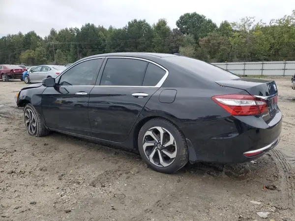 1HGCR2F71GA224516 2016 HONDA ACCORD - Image 2
