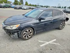 1HGCR2F71HA019456 2017 HONDA ACCORD