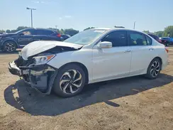 1HGCR2F71HA020512 2017 HONDA ACCORD