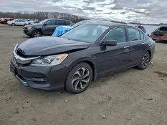 1HGCR2F71HA031414 2017 HONDA ACCORD