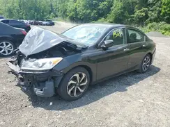1HGCR2F71HA061707 2017 HONDA ACCORD