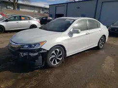 1HGCR2F71HA086509 2017 HONDA ACCORD