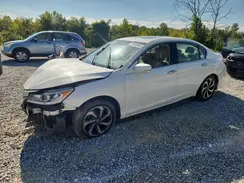 1HGCR2F71HA086882 2017 HONDA ACCORD