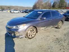 1HGCR2F71HA105558 2017 HONDA ACCORD