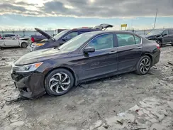 1HGCR2F72HA023242 2017 HONDA ACCORD
