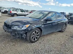 1HGCR2F73HA109966 2017 HONDA ACCORD