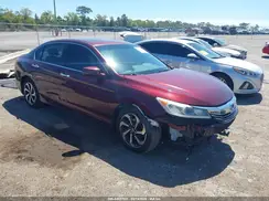 1HGCR2F73HA242338 2017 HONDA ACCORD
