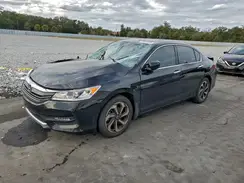 1HGCR2F74HA104243 2017 HONDA ACCORD
