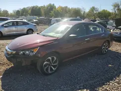 1HGCR2F74HA148307 2017 HONDA ACCORD