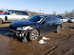 1HGCR2F75HA027186 2017 HONDA ACCORD