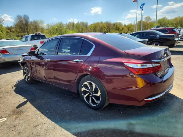 1HGCR2F75HA044635 2017 HONDA ACCORD - Image 2