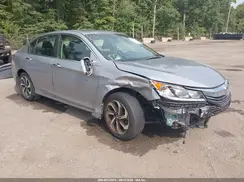 1HGCR2F75HA105689 2017 HONDA ACCORD