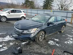 1HGCR2F75HA177802 2017 HONDA ACCORD