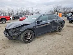 1HGCR2F75HA228716 2017 HONDA ACCORD