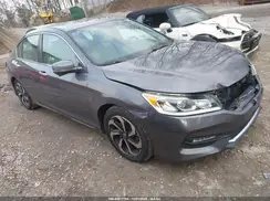 1HGCR2F75HA293985 2017 HONDA ACCORD