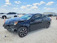 1HGCR2F76HA243810 2017 HONDA ACCORD