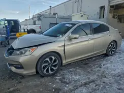 1HGCR2F77HA003777 2017 HONDA ACCORD