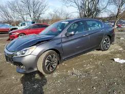 1HGCR2F77HA056561 2017 HONDA ACCORD