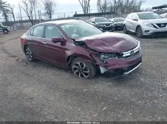 1HGCR2F77HA129749 2017 HONDA ACCORD
