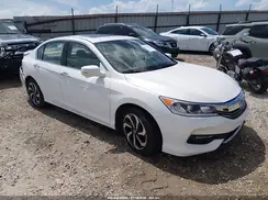 1HGCR2F77HA183004 2017 HONDA ACCORD