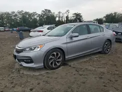 1HGCR2F77HA242522 2017 HONDA ACCORD