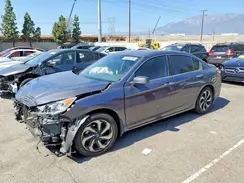 1HGCR2F77HA246716 2017 HONDA ACCORD