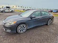 1HGCR2F78HA171752 2017 HONDA ACCORD