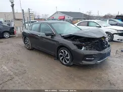 1HGCR2F78HA175980 2017 HONDA ACCORD