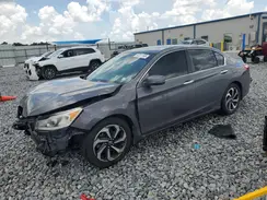 1HGCR2F78HA295620 2017 HONDA ACCORD