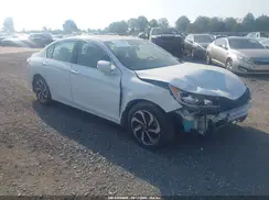 1HGCR2F79HA044704 2017 HONDA ACCORD
