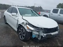 1HGCR2F79HA166950 2017 HONDA ACCORD