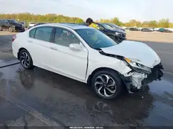 1HGCR2F79HA229805 2017 HONDA ACCORD