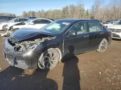 1HGCR2F79HA801620 2017 HONDA ACCORD