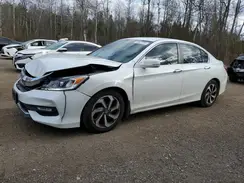 1HGCR2F79HA803237 2017 HONDA ACCORD