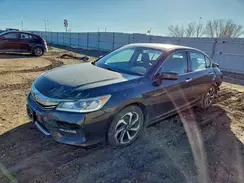 1HGCR2F80GA159165 2016 HONDA ACCORD